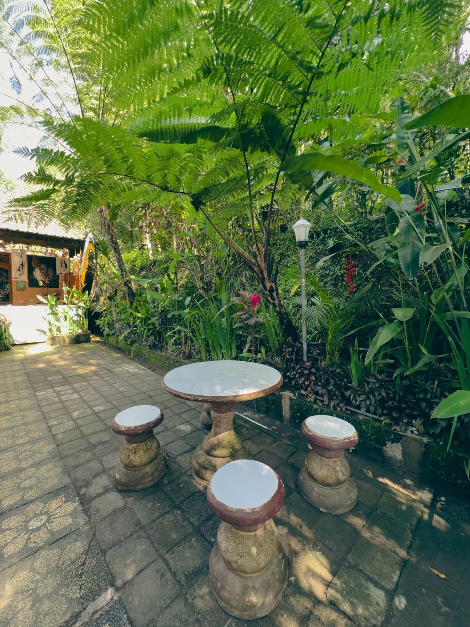 Homestay Sente 姆杜克 外观 照片