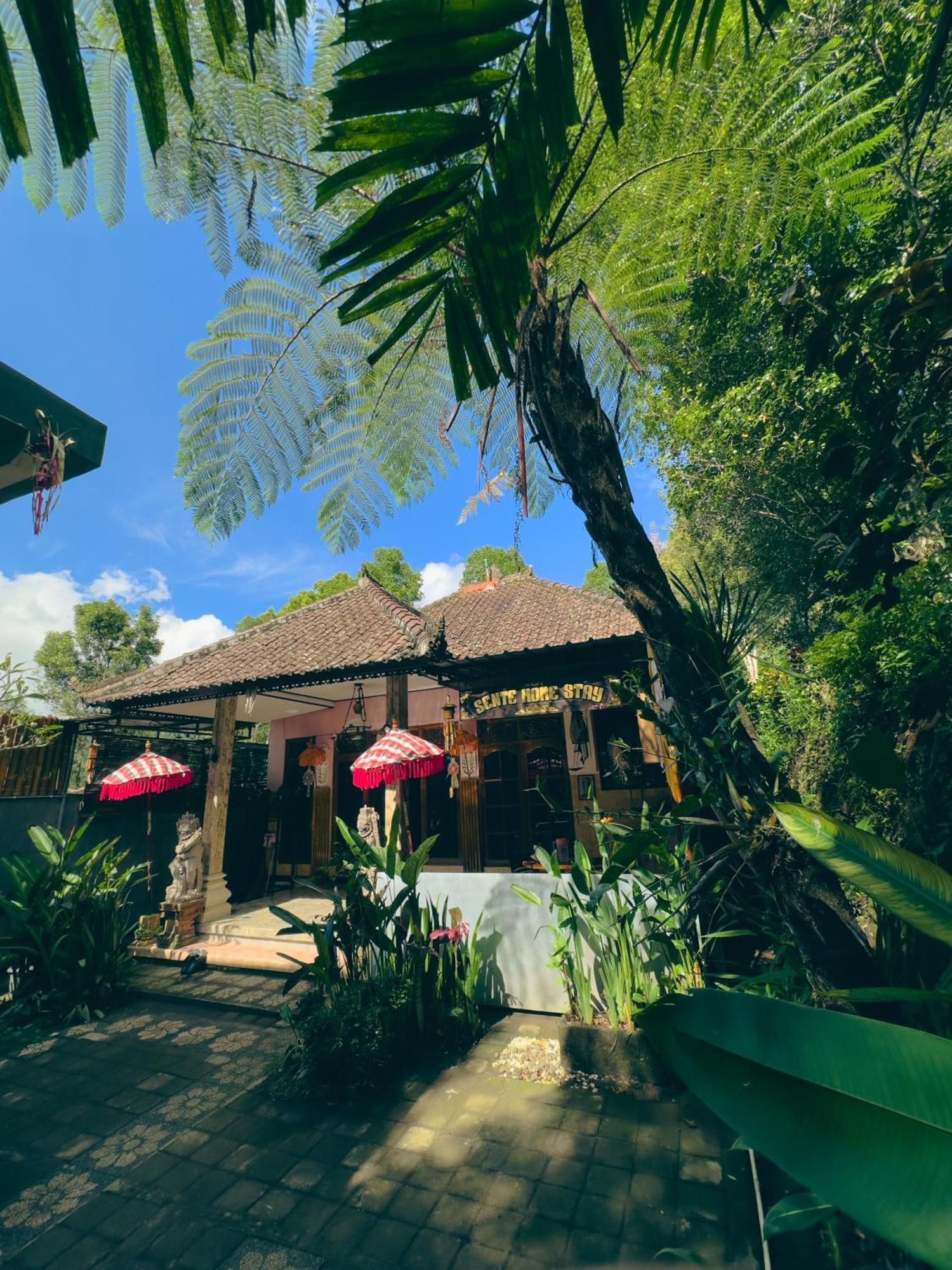 Homestay Sente 姆杜克 外观 照片